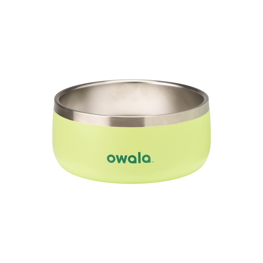 Pet Bowl 2QKO