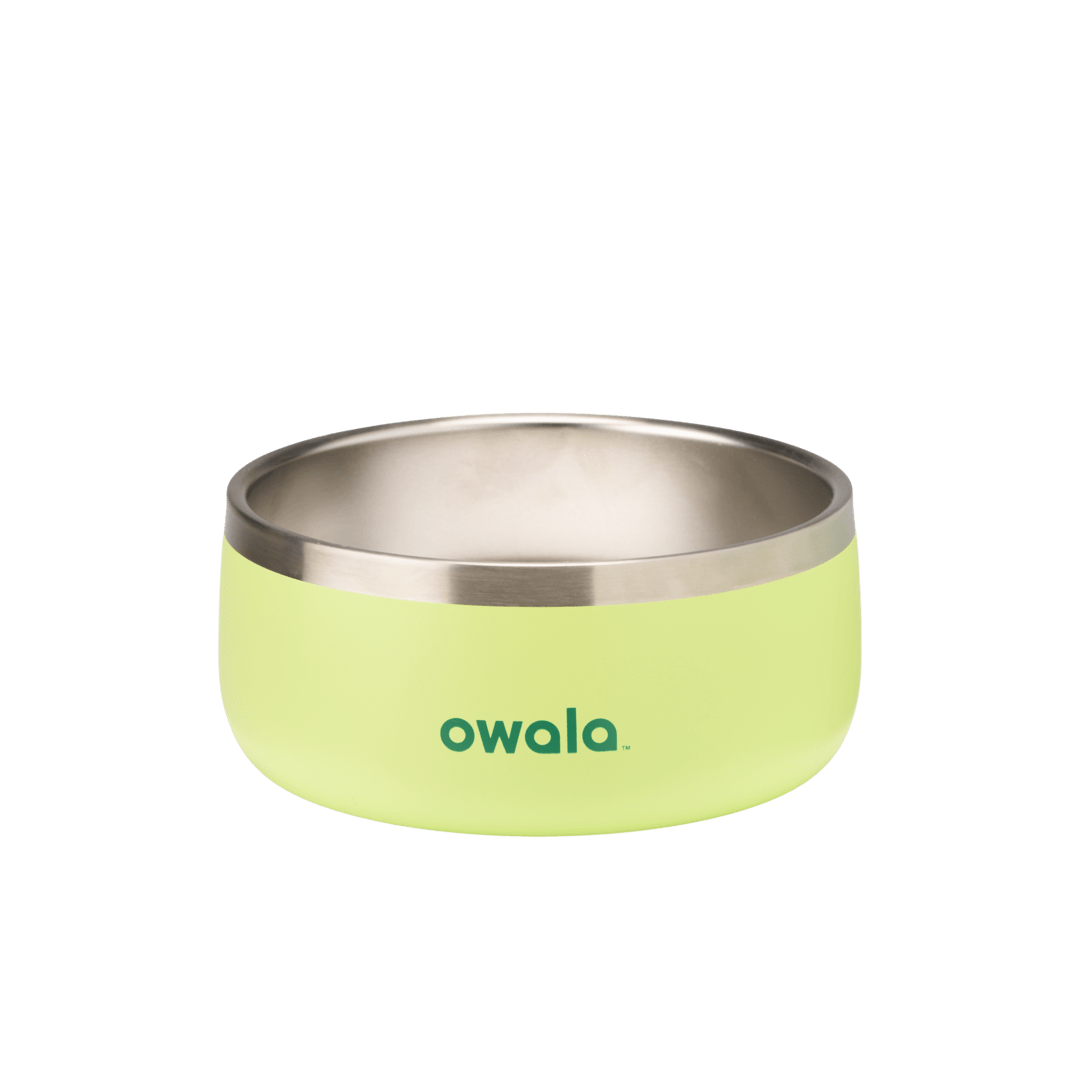Pet Bowl 2QKO