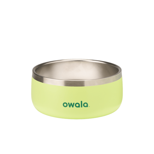 Pet Bowl 2QKO