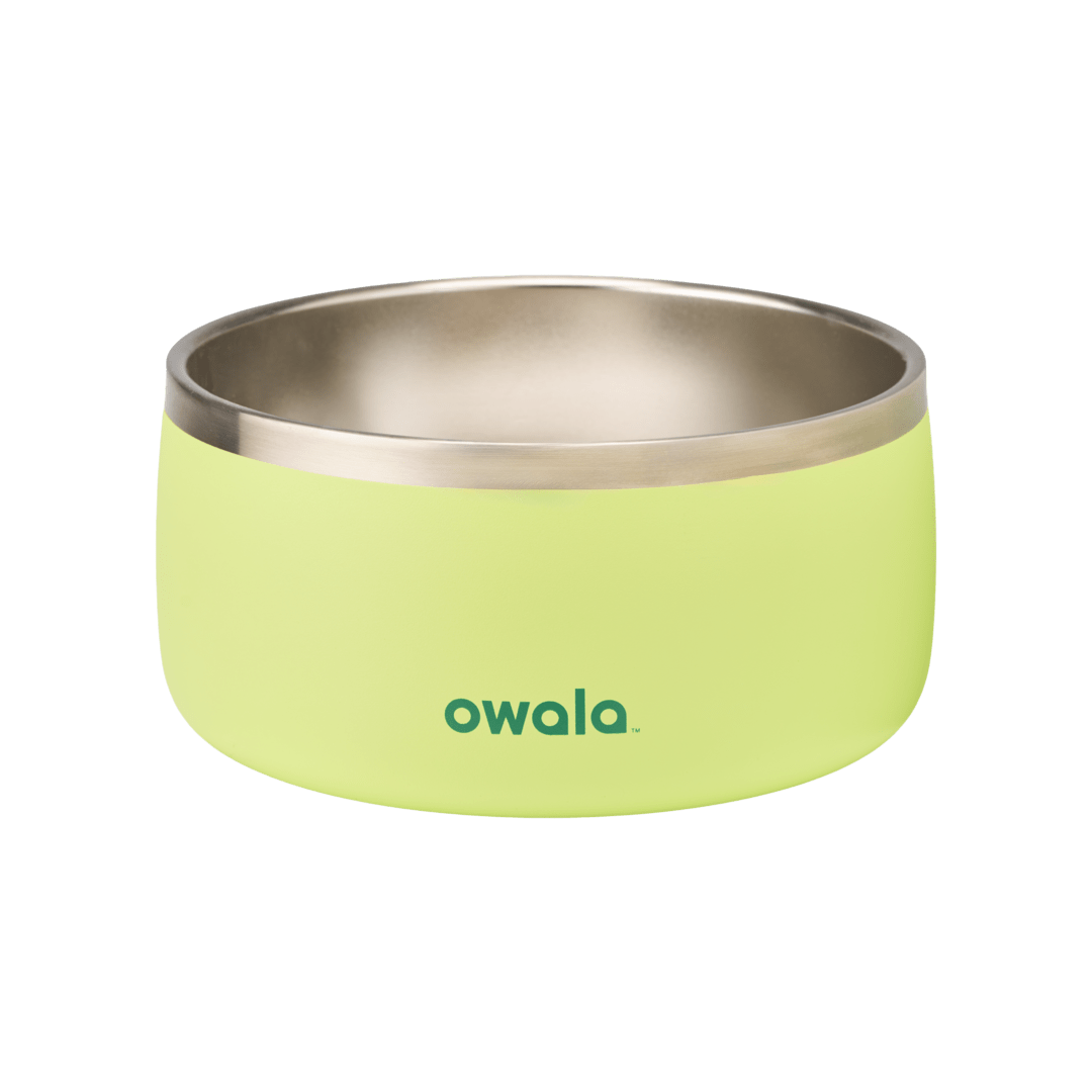 Pet Bowl 2QKO
