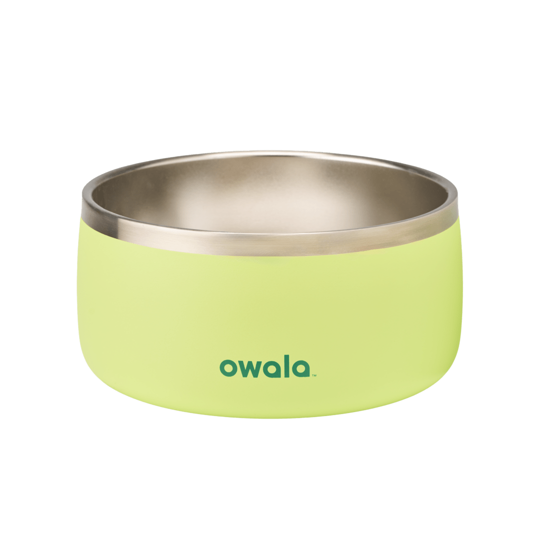 Pet Bowl 2QKO