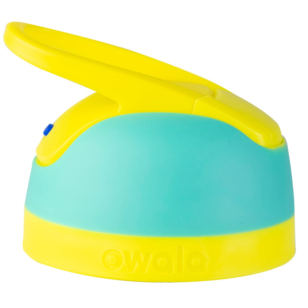 Replacement Lids F1MO
