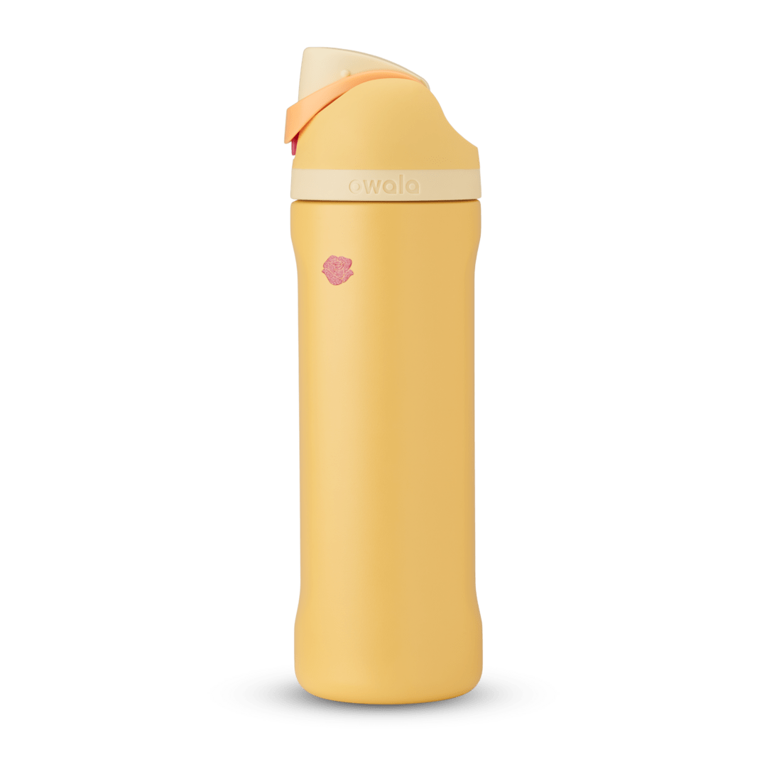 Disney Princess Collection CYEU