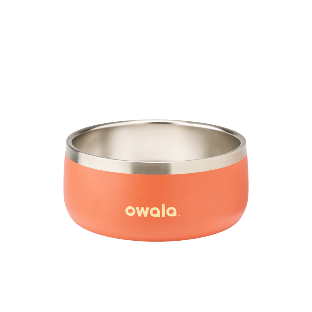 Pet Bowl 2QKO