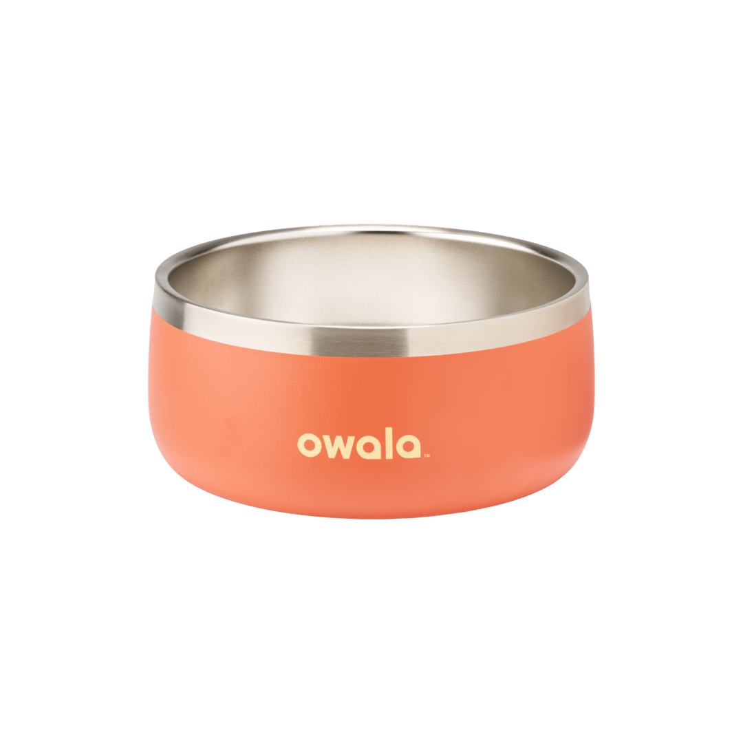 Pet Bowl 2QKO