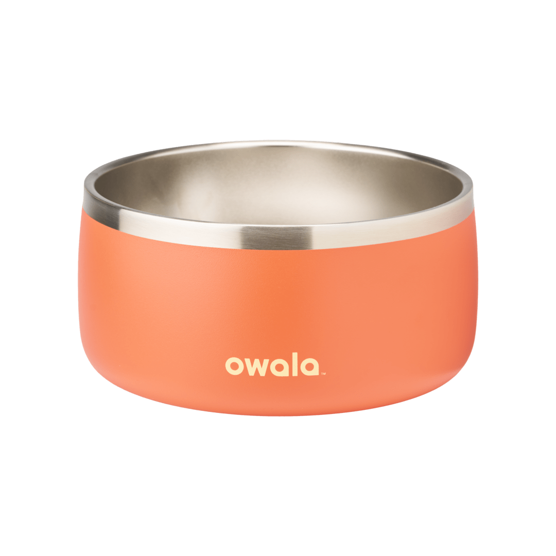 Pet Bowl 2QKO