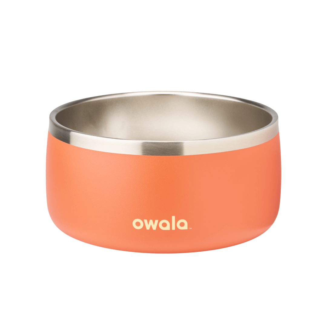 Pet Bowl 2QKO
