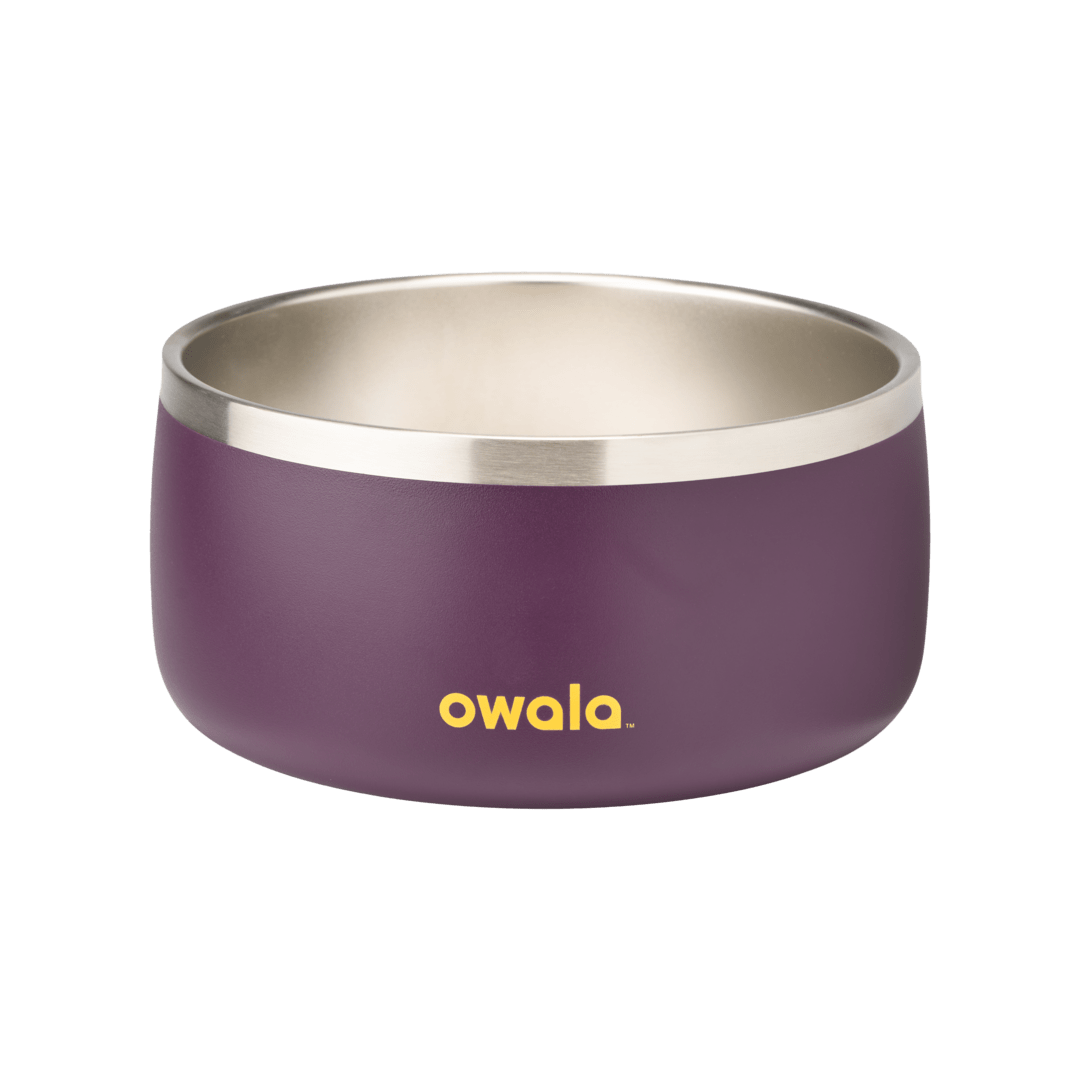 Pet Bowl 2QKO