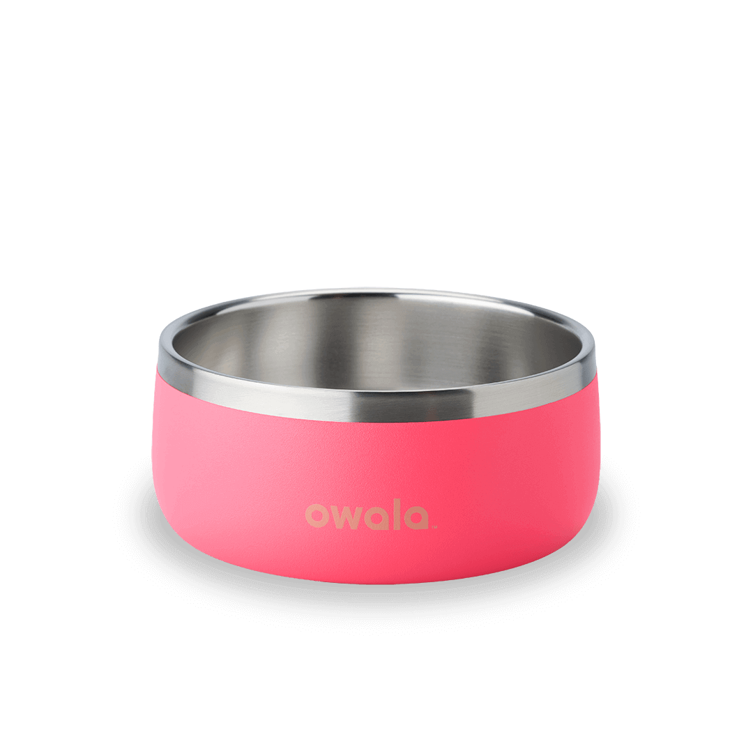 Pet Bowl 2QKO