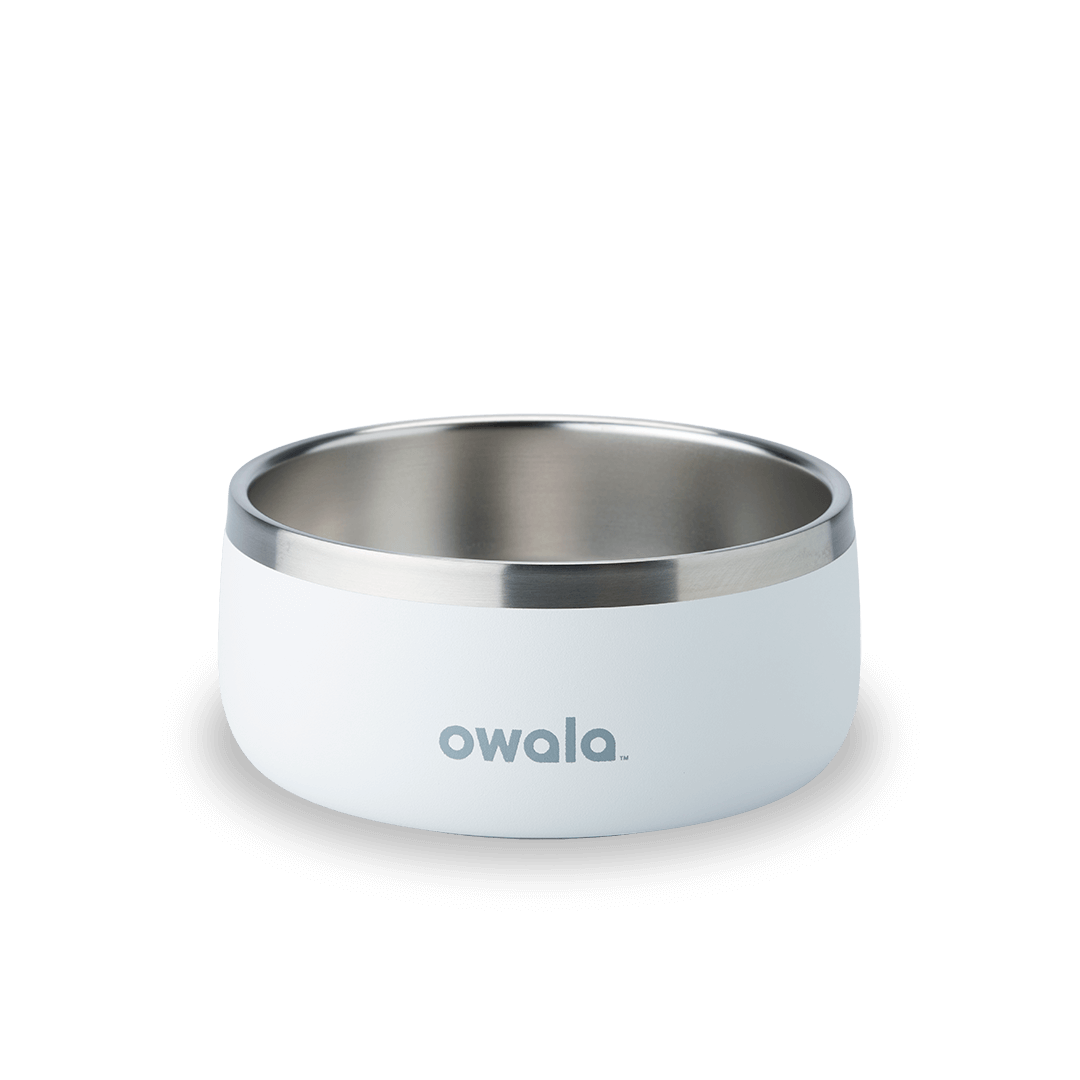 Pet Bowl 2QKO