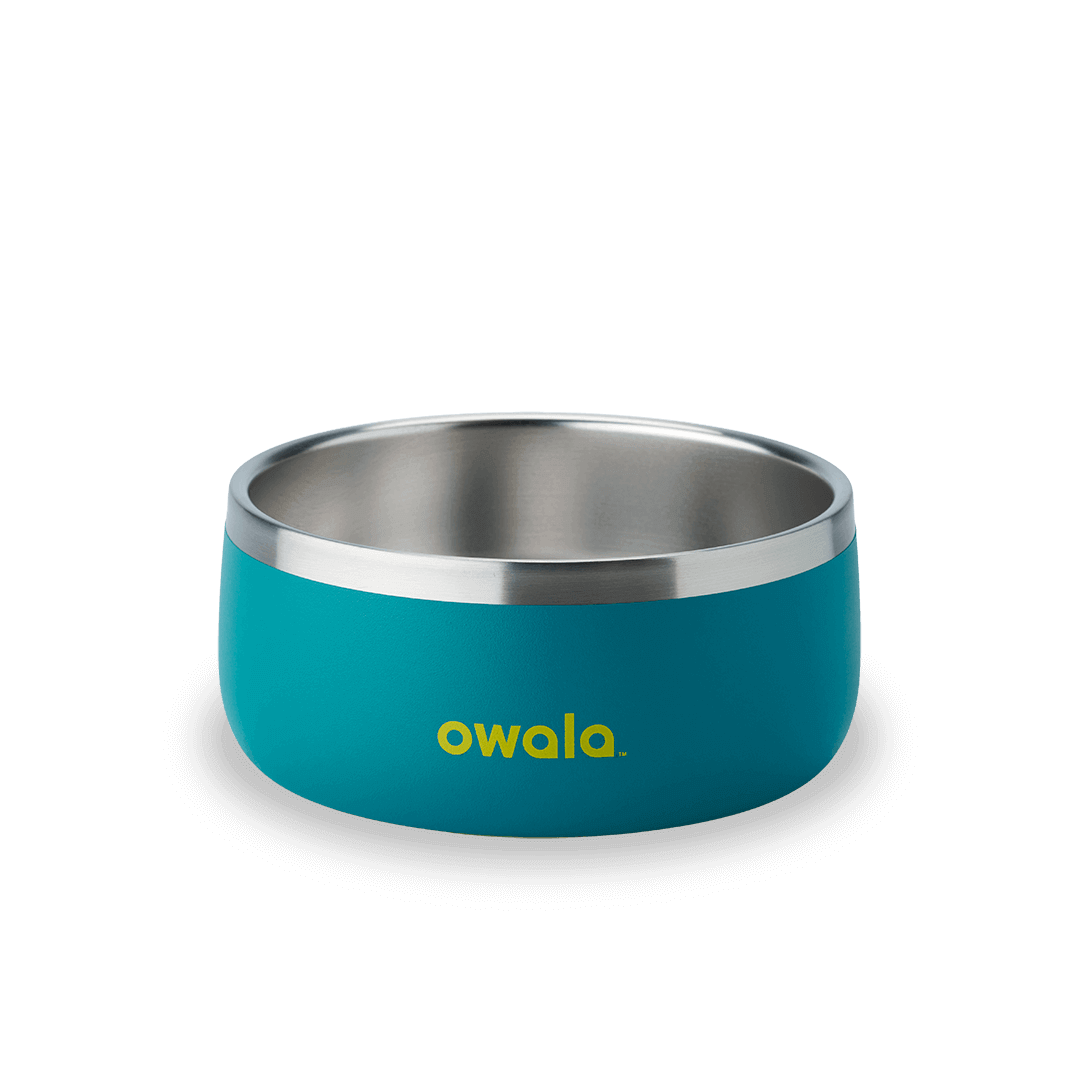 Pet Bowl 2QKO