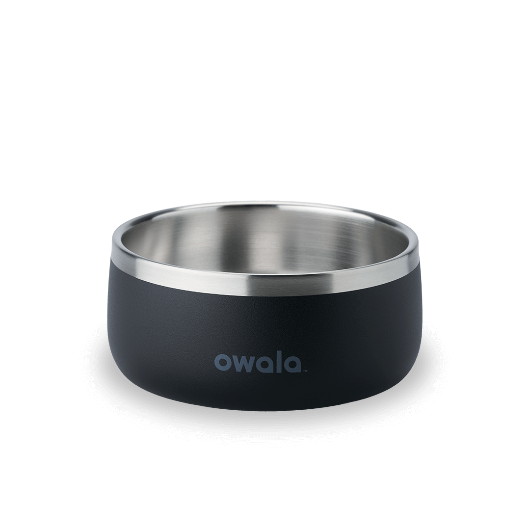 Pet Bowl 2QKO