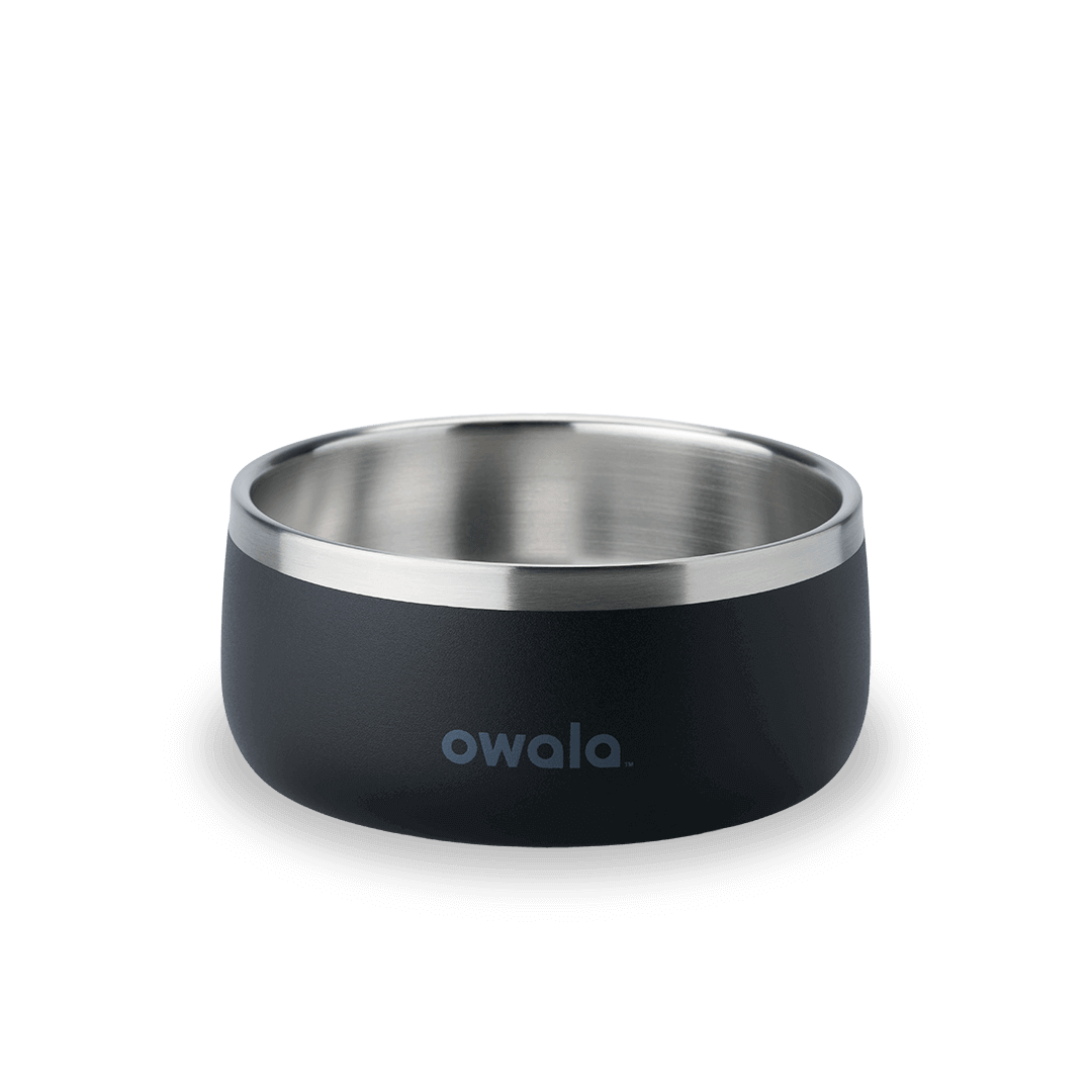 Pet Bowl 2QKO