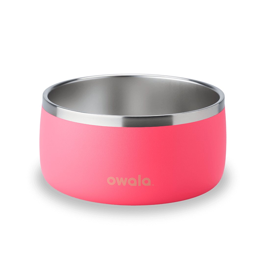 Pet Bowl 2QKO