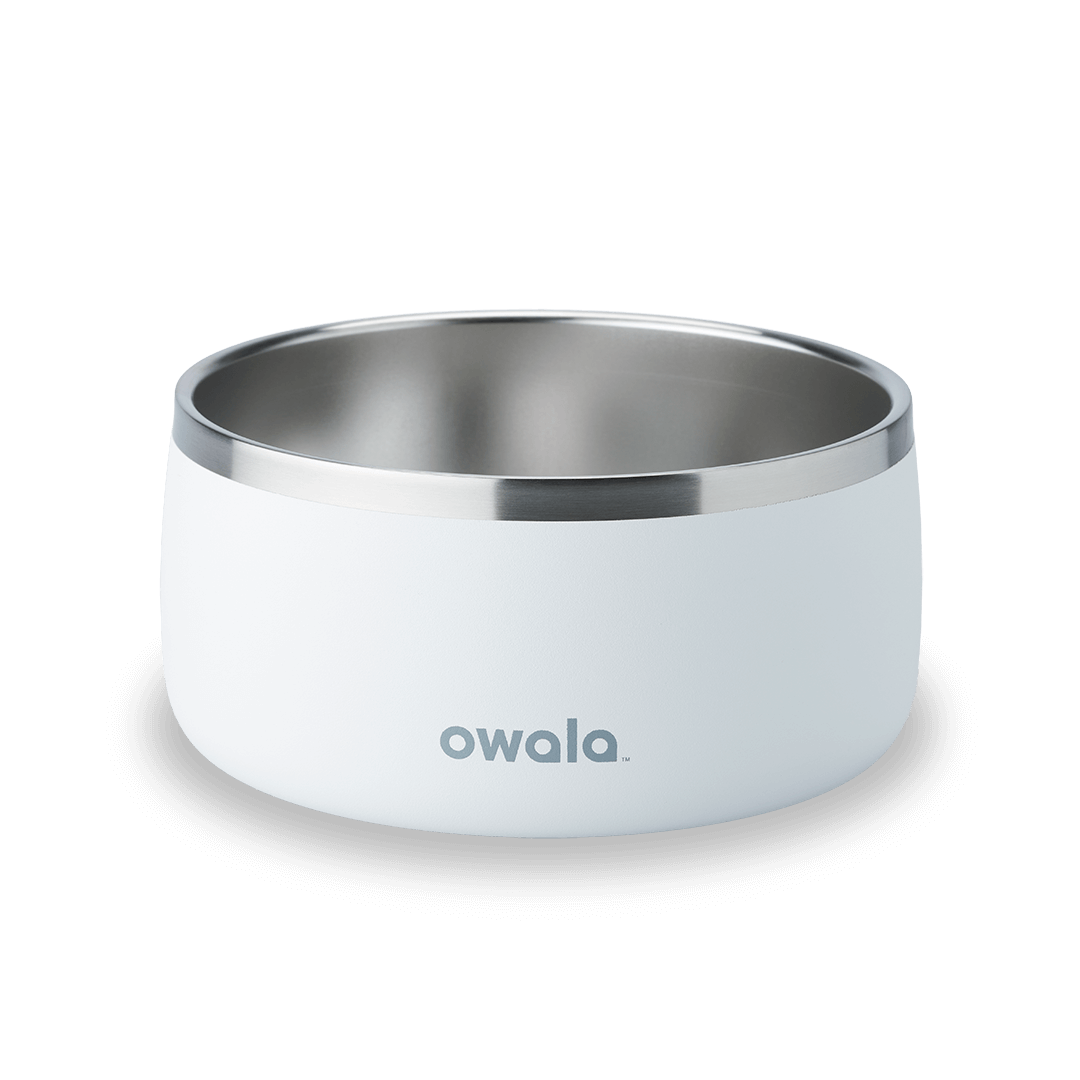 Pet Bowl 2QKO