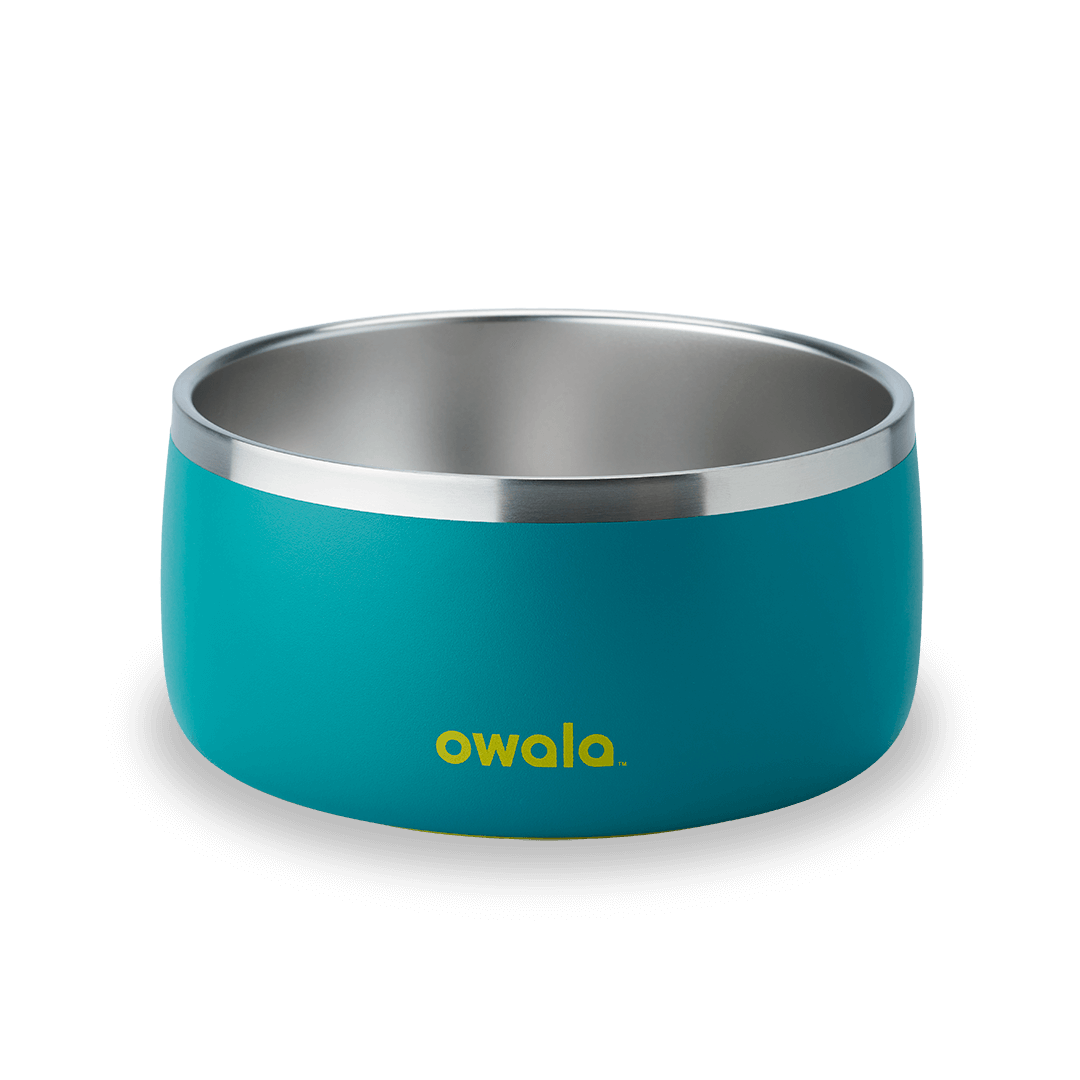 Pet Bowl 2QKO