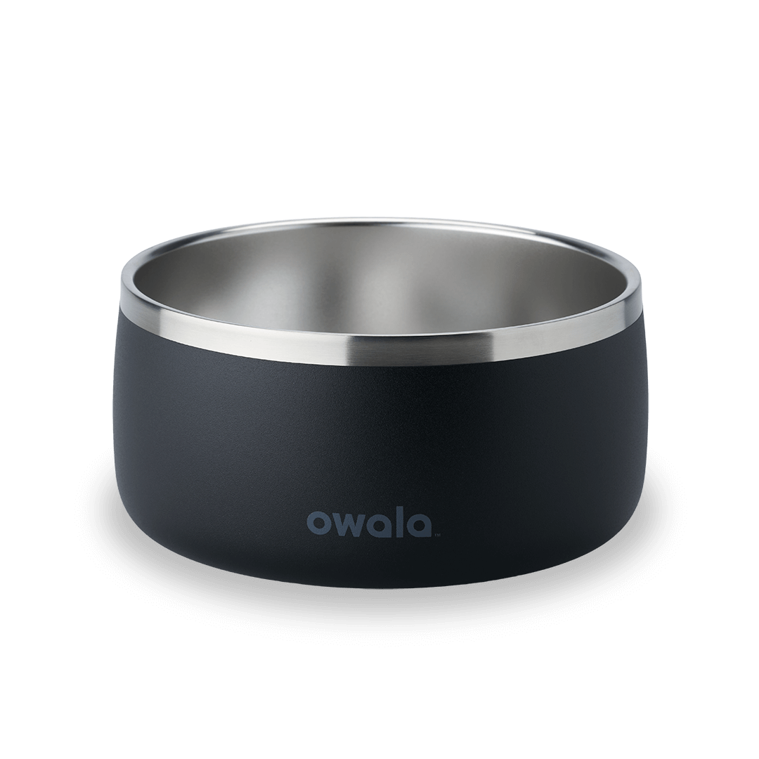 Pet Bowl 2QKO