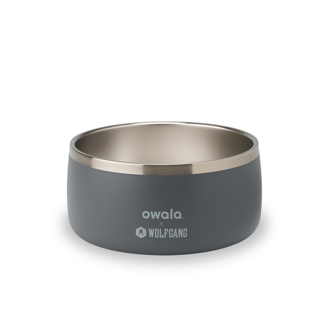 Pet Bowl 2QKO